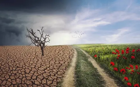 Mercoledì della IV settimana di Avvento