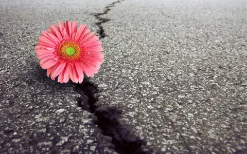V domenica di Quaresima