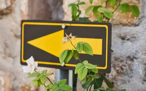 Martedì della XXVI settimana del tempo ordinario