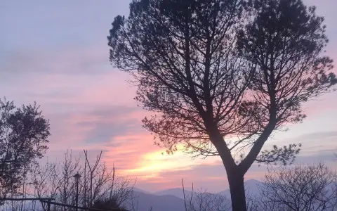 Giovedì della IV settimana di Quaresima