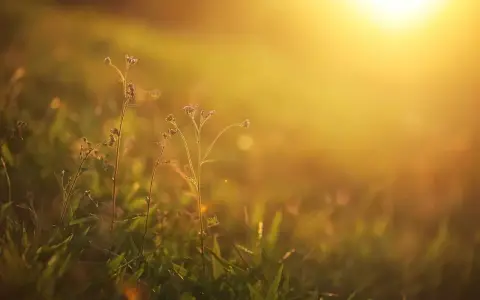 Mercoledì della VI settimana di Pasqua