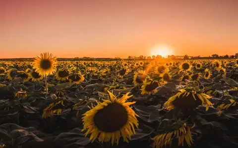 Venerdì della XX settimana del Tempo Ordinario