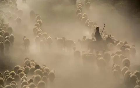 Giovedì della XXVI settimana del Tempo Ordinario