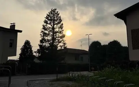 XXXIII Domenica del Tempo Ordinario