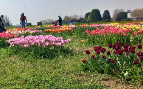 Sabato fra l’Ottava di Pasqua