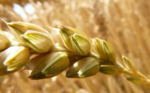 Martedì della III settimana di Pasqua