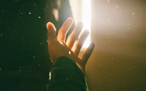 Giovedì della XVIII settimana del Tempo Ordinario