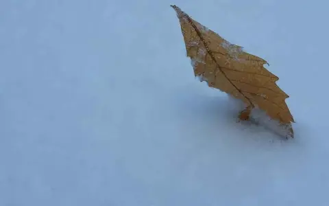 III Domenica di Avvento