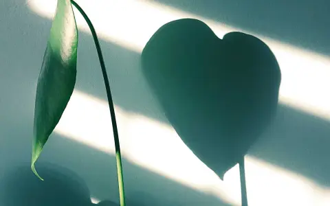 Mercoledì della V settimana del Tempo Ordinario