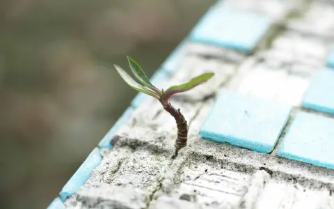 Venerdì della V settimana di Quaresima